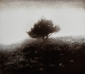 Axel Chaldecott